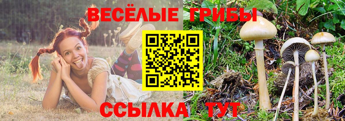 как найти наркотики  Вход с VPN  Галлюциногенные грибы MAGIC MUSHROOMS  Узловая  Галлюциногенные грибы ЛСД 